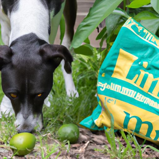 Is Gardening Lime Safe For Dogs